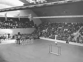 Idrottshusets invigning, 1946