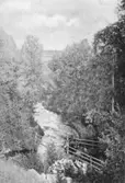 Lillån vid nedre fallet vid Mullhyttans kvarn, 1903 ca