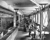 Stansavdelningen på skofabriken Örnen, 1916