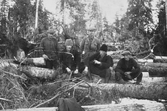 Skogsarbetere, 1940-tal