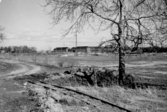 Järnsvägsspåret från Marks tegelbruk, ca 1955