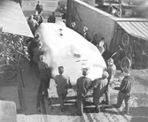 John Cobbs tävlingsbil bärs till Görtz Fordutställning, 1955