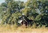 Uthus, 1996