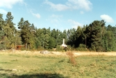 Husruin i Övra Vallvy 1996