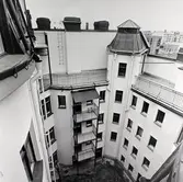 Innergård på Olaigatan 13, 1981