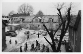 Knuttar på gårdsplan vid Drottninggatan 51, 1950-tal