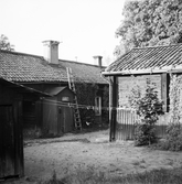 Utedass på Gamla söder, 1955 ca