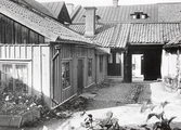 Gårdsinteriör från Gamla söder, 1920-tal