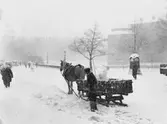 Snöröjning med häst och släde på Drottninggatan, 1930-tal