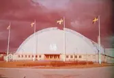 Idrottshuset, 1950-1955