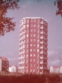 Höghuset i Rosta centrum, 1950-1955