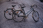 Cyklar, 1984