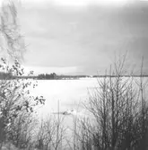 Vy över Sottern och Boholmen