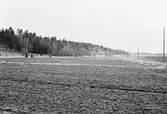 Åker vid Almbyplatån, 1960-tal