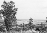 Utsikt från Ullavi Klint, 1960-tal