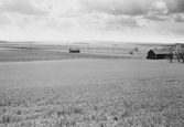 Hallsbergsbranten från Norrbyås kyrka, 1960-tal