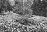 Klapperstensfält vid Ullavi Klint, 1960-tal