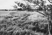 Täljeån igenvuxen av gräs, 1960-tal