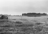 Sankmark nedanför Almbyplatån, 1960-tal