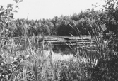 Markasjön, 1960-tal
