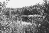 Markasjön, 1960-tal