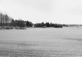Ändmoräner norr om Kvismaren, 1960-tal
