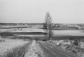 Drumlinsområdet kring Hackvads kyrka, 1960-tal