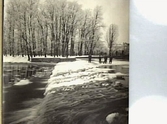 Vinterbild från Slottsparken, ca 1930