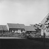 Radjus på Ekängen, 1950-tal