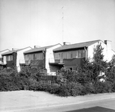 Radhus på Änggatan, 1960-tal