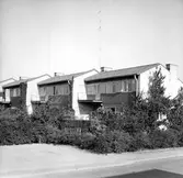 Radhus på Änggatan, 1960-tal