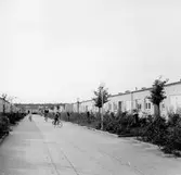 Radhus i Oxhagen, 1960-tal