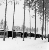 Radhus på Ronnebygatan, 1960-tal