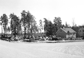 Villa på skogstomt med skrotupplag, 1960-tal