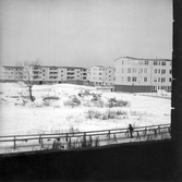 Hyreshus i Markbacken, 1960-tal