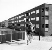 Cyklist i Markbacken, 1960-tal