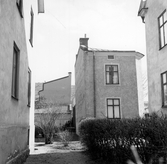 Gården till Västra gatan 15, 17, 1950-tal