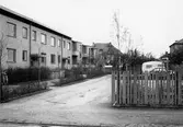 Gårdsinteriö⁯r Skyttegatan, 1971