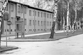Hus vid Slussgatan mot norr, 1971