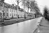 Slussgatan mot norr, 1971