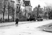 Trädbeskärning på Slussgatan, 1971
