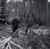 Två okända som arbetar med skog vid Björkerum i Karl Olsgården. Huset ligger numera i Himmelsberga, Långlöts socken, men låg ursprungligen i Dyestad, Runstens socken.