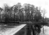 Slottsparken mot söder från Olaiplan, 1928