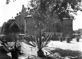 Kaktusar i krukor i centralparken mittemot Örebro slott, 1930-tal