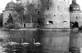 Svanar vid Örebro slott, 1920-tal