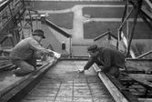 Byggarbetare på taken av Oscariahuset, 1910-tal