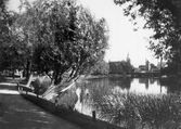 Promenadstråk genom Hagaparken, 1930-tal