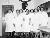 Personal Apoteket Älgen, december 1954