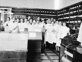 Personal på Apoteket Hjorten, 1954