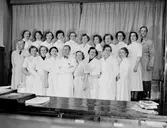 Personalen uppställd på Apoteket Hjorten, 1954
